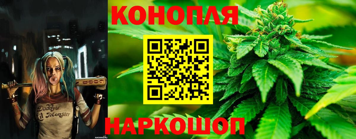 Каннабис OG Kush Новотроицк